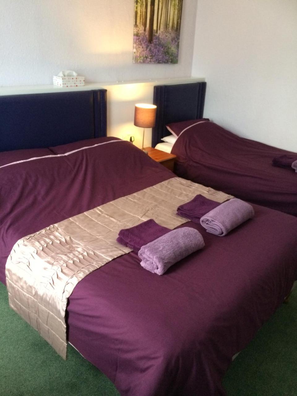 The Haldon Guest House Paignton Εξωτερικό φωτογραφία